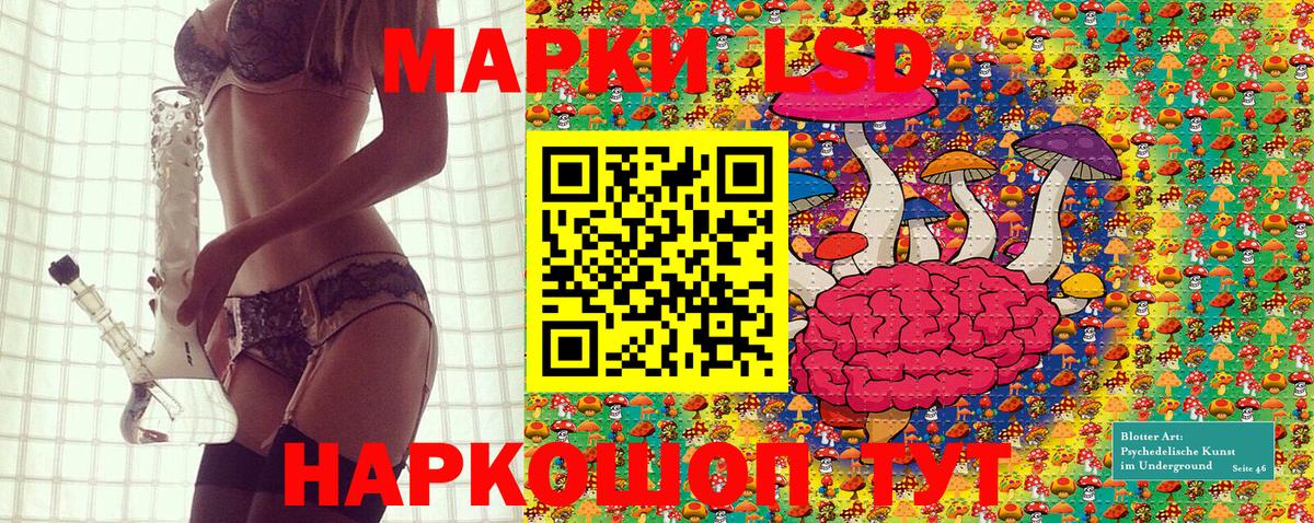 Чернушка  Марки N-bome 1,8мг  Вход с VPN  Марки N-bome 1,8мг 